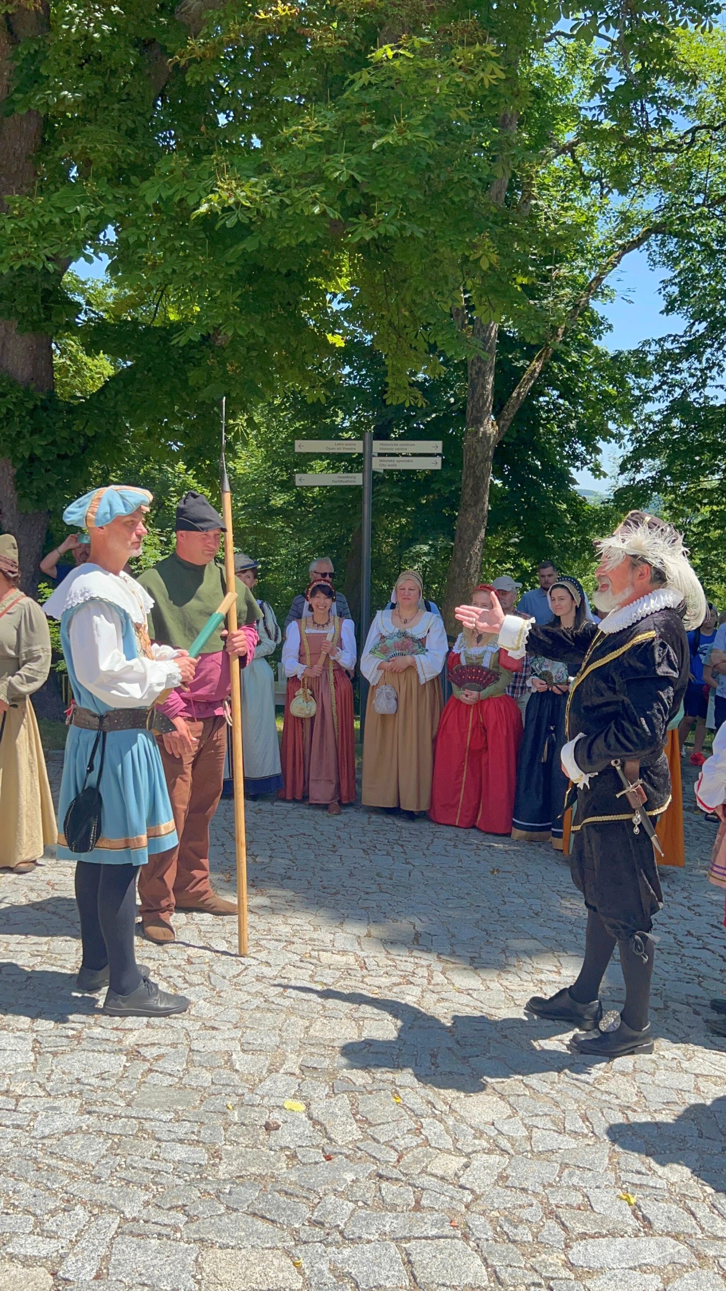 Příjezd soumarů do Vimperku na slavnosti přátelství