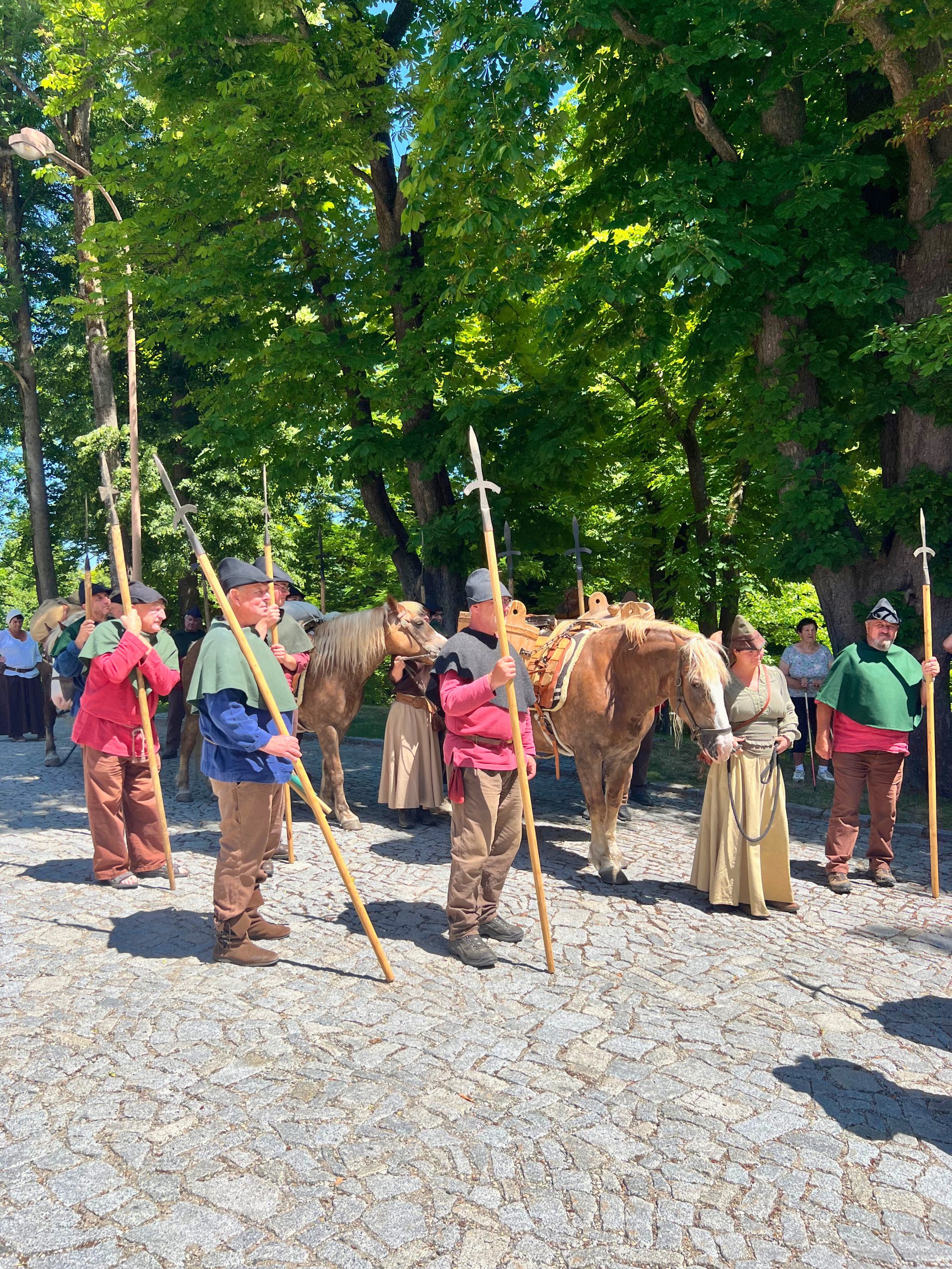 Příjezd soumarů do Vimperku na slavnosti přátelství