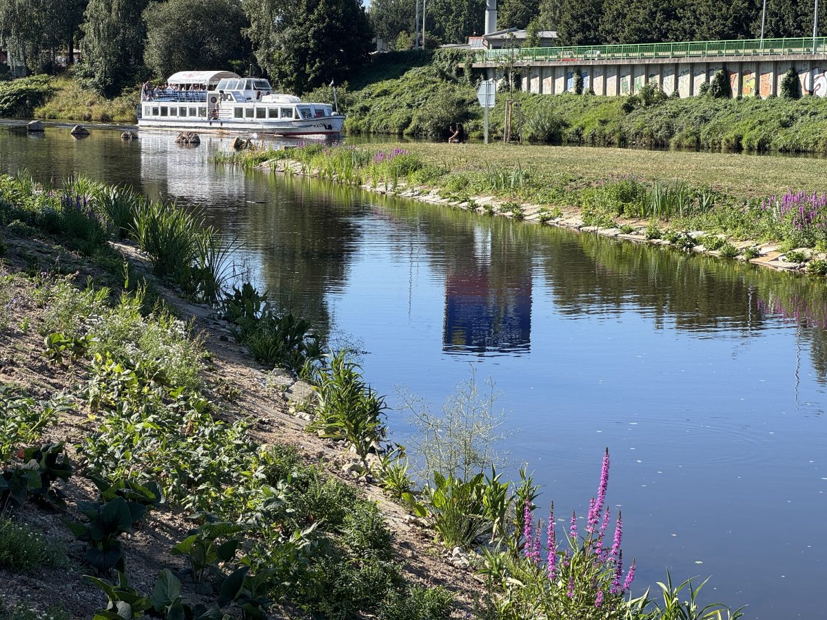 Zeleně lemované břehy Slunečních ostrovů ožily lodní dopravou. Vltava v Českých Budějovicích se stává místem pro relax i nový pohled na město.