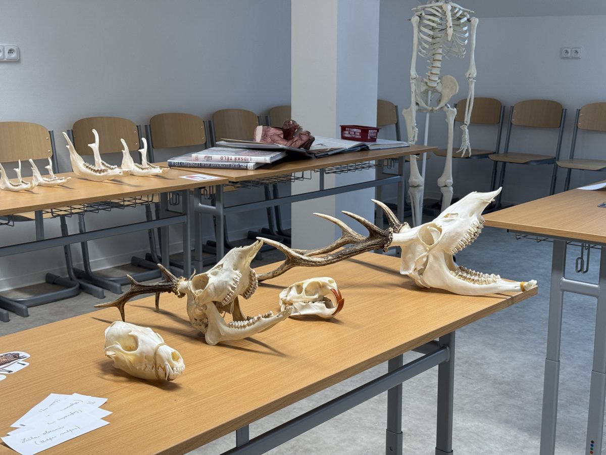 Waldorfská škola Dobromysl v Plzni má nové moderní učebny