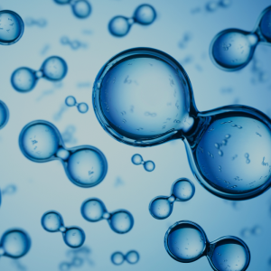 Vodíkový region Čechy & Bavorsko od roku 2024 buduje síť partnerů a zkušenosti potřebné pro náběh na vodíkové hospodářství v regionu.