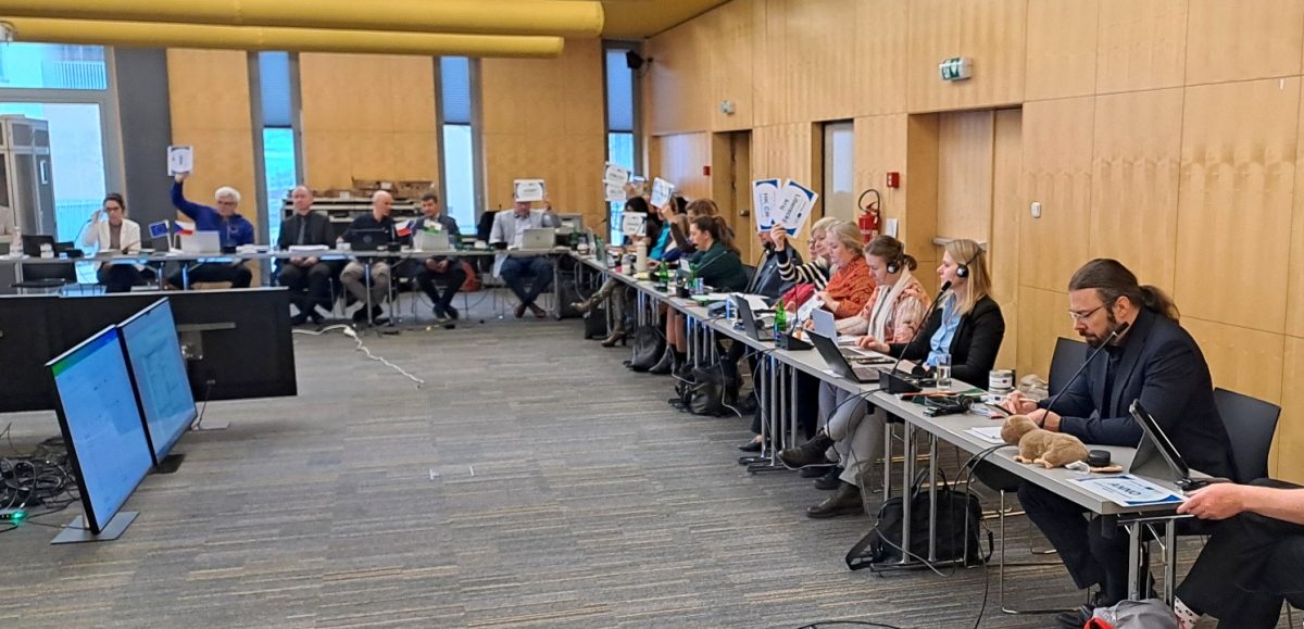 Program Interreg Sasko–Česko podpoří téměř 13 miliony významné projekty v pohraničí