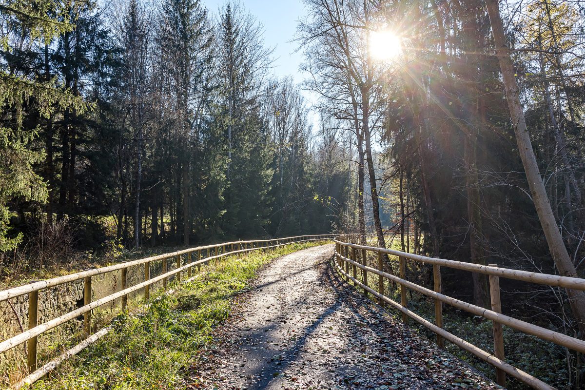 Cyklostezka mezi Loučovicemi a Vyšším Brodem získala ocenění Stavba roku dopravní a technické infrastruktury.