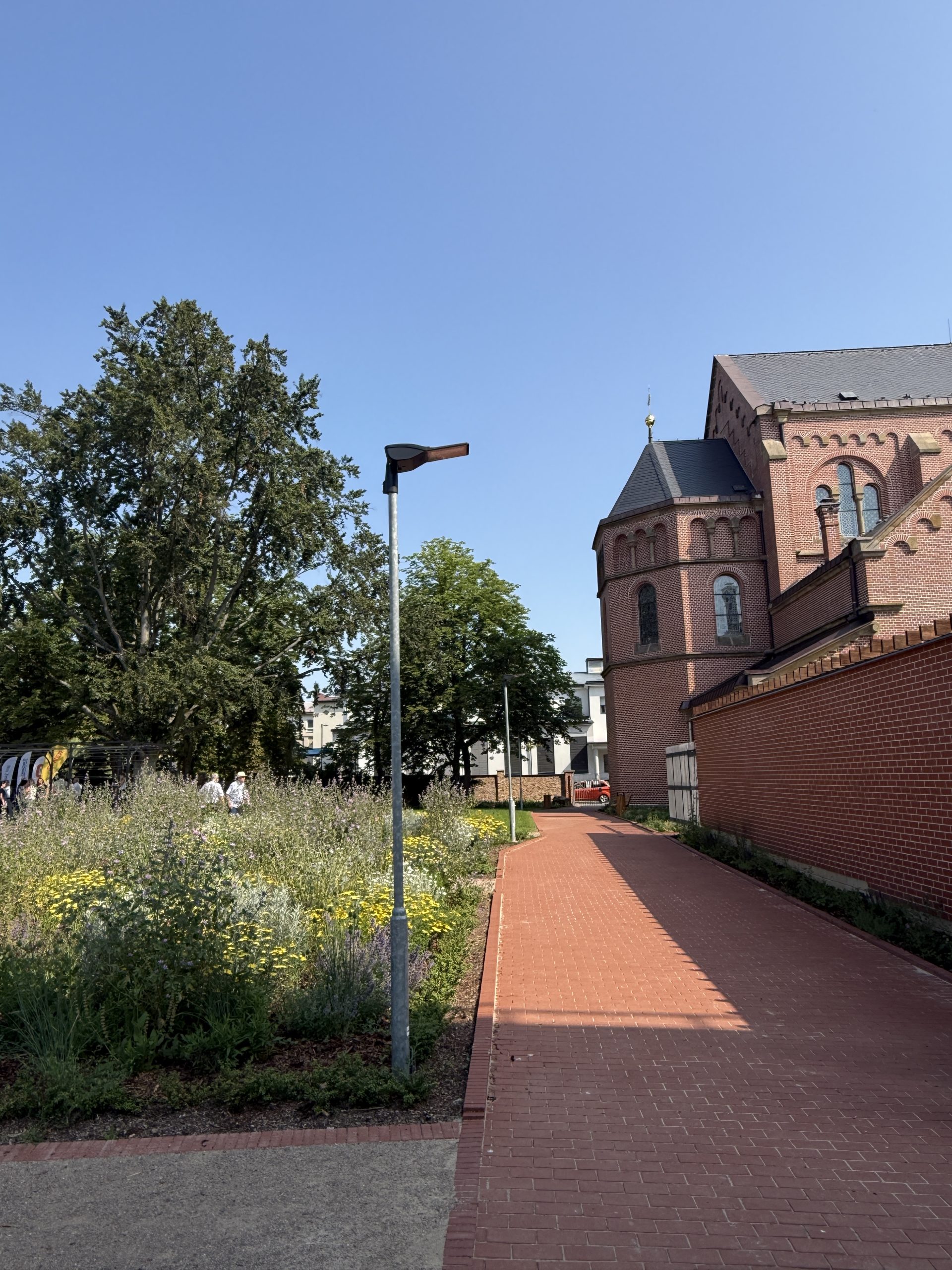 Nově zrevitalizovaný park před psychiatrickým oddělením Svitavské nemocnice.